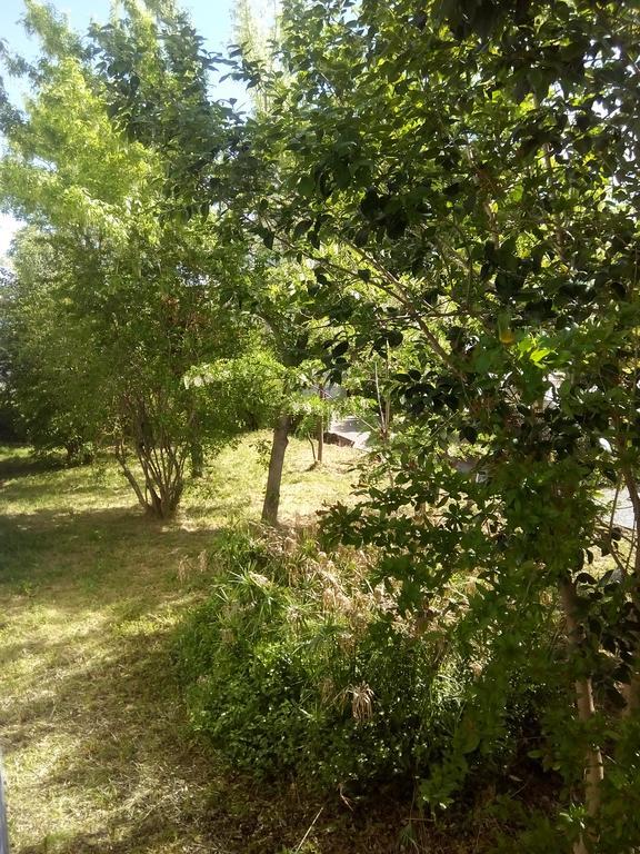Grand Studio Proche Transport Μονπελιέ Εξωτερικό φωτογραφία